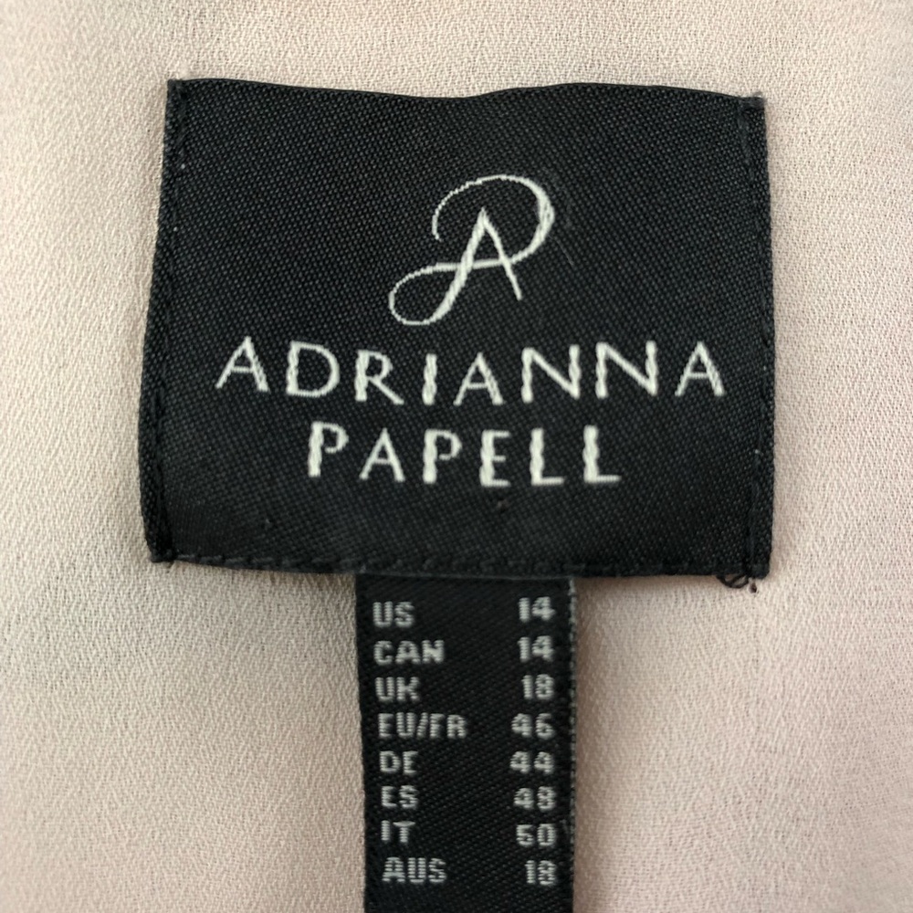 NWT 14 Adrianna Papell Blush Floral Border Maxi Dress Ruffle Sleeve Lined - Picture 3 of 15